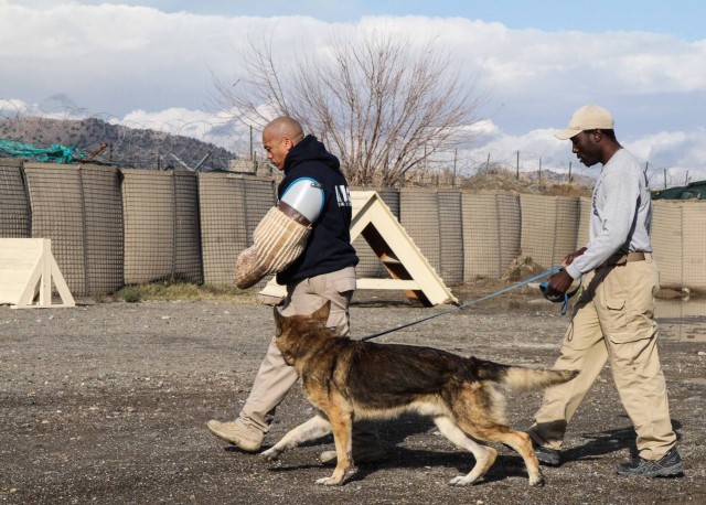 Man's best friend plays pivotal role in IED defeat