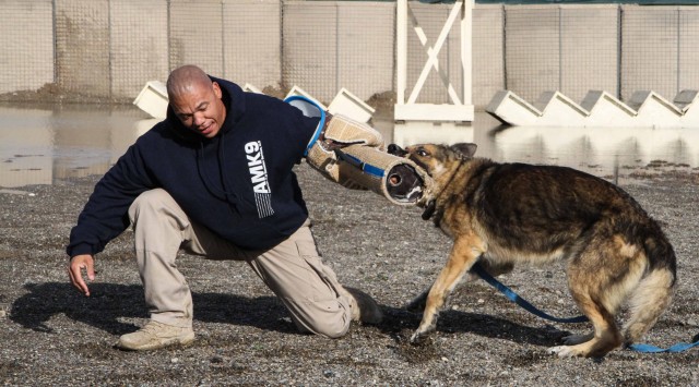 Man's best friend plays pivotal role in IED defeat