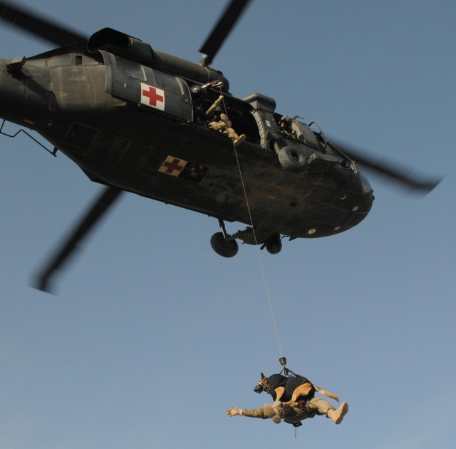 Military working dog takes flight