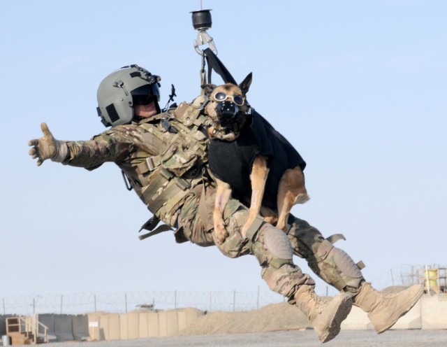 Military working dog takes flight