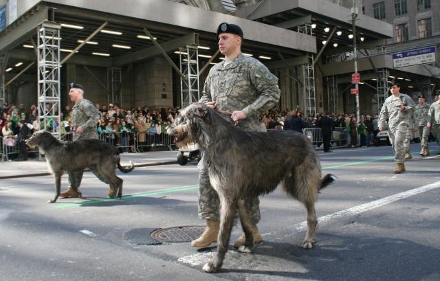 New York National Guard's 69th Infantry Leads Worlds Largest Irish Heritage Celebration