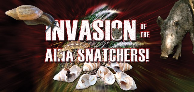 Invasion