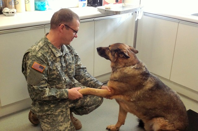NCO examines his patient at Veterinary Clinic