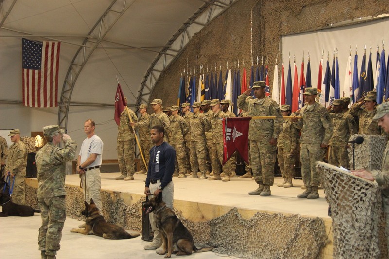 LewisMcChord Veterinary Detachment assumes duties in Southern