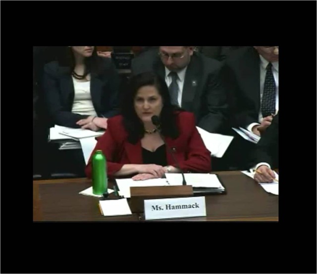 Assistant Secretary of the Army for Installations, Energy and Environment testimony on future Base Realignment and Closures