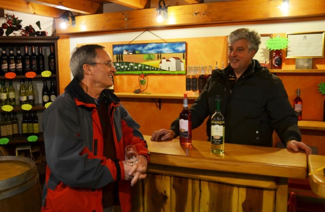 Exploring wines of veneto