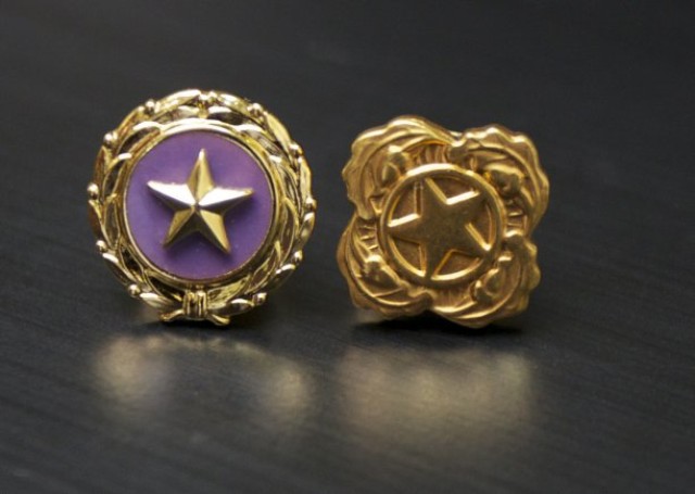 The Gold Star Lapel pins