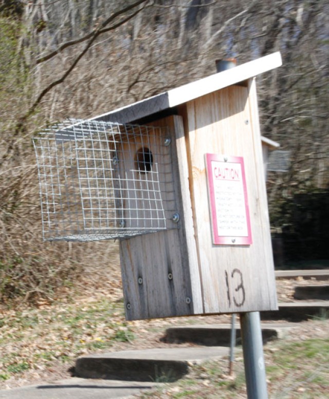 Bird Box