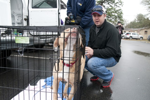 Animal rescue organization adopts 10 dogs from Fort Bragg to help veterans with PTSD