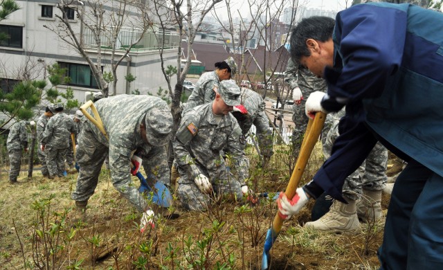 Soldiers plant trees, friendship