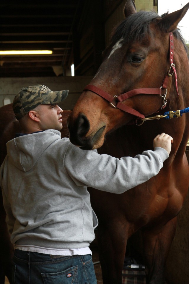 Hippotherapy, charitable organization helps wounded warriors