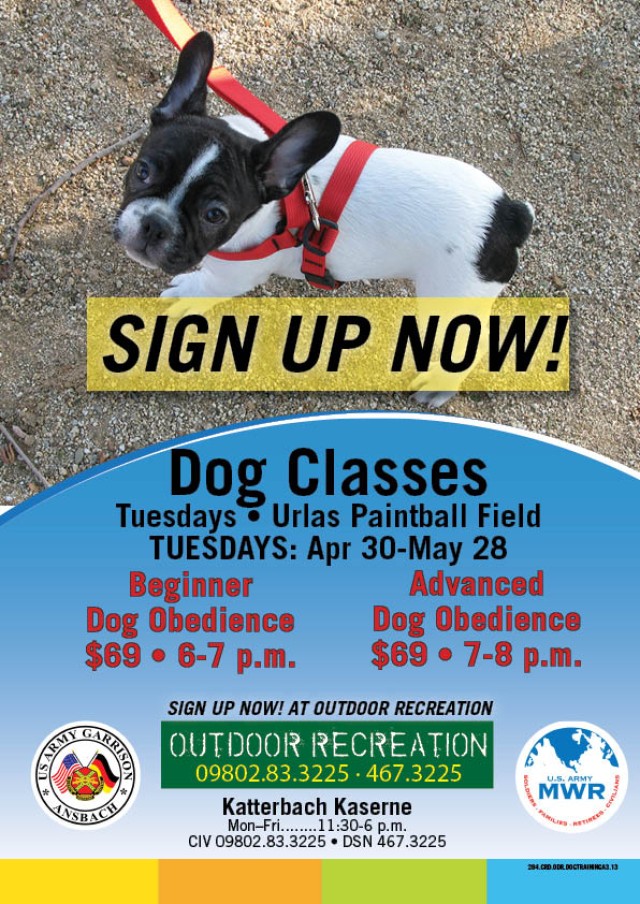 Dog classes