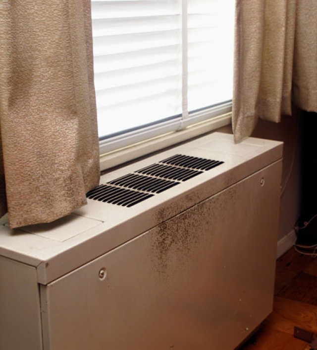 Area I braces for mold season-Controlling moisture key in combatting health, property hazards of mold