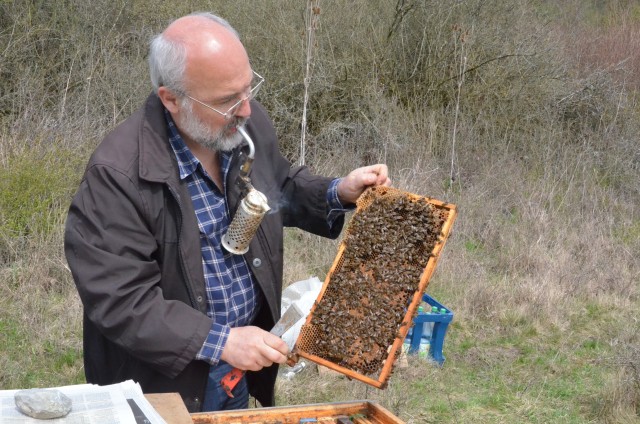 Beekeeping