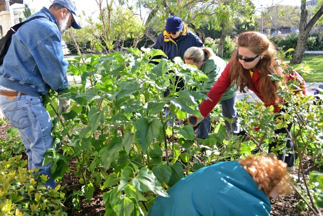Volunteers clean up gardens at WFSC