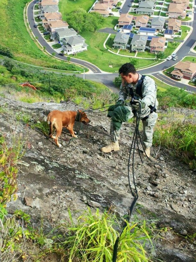 Broncos respond to community, save dog stuck on hillside