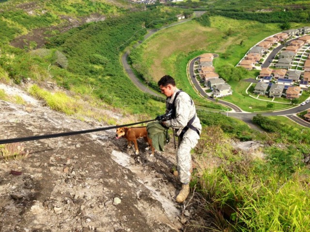 Broncos respond to community, save dog stuck on hillside