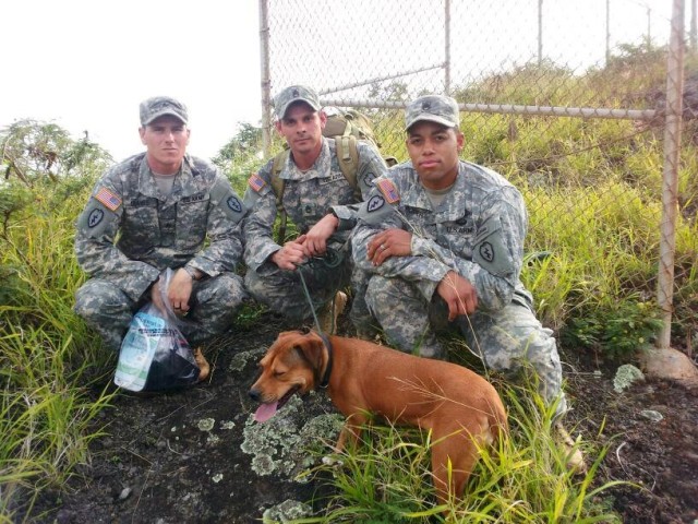 Broncos respond to community, save dog stuck on hillside