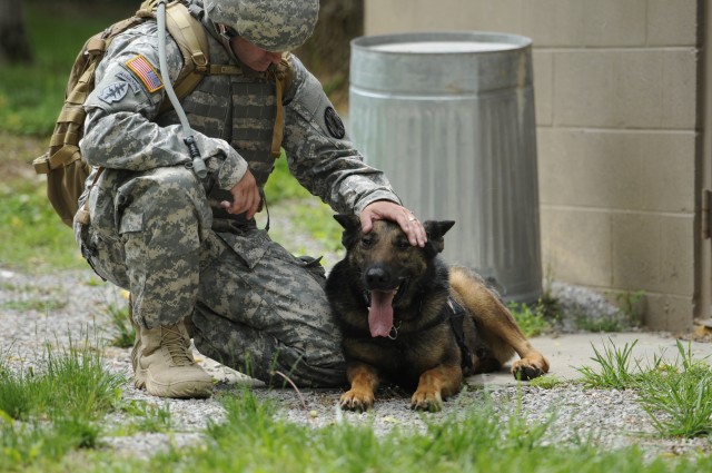 Fort Campbell Validates Working Dogs