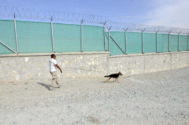 Canines, handlers keep FOB Gamberi safe