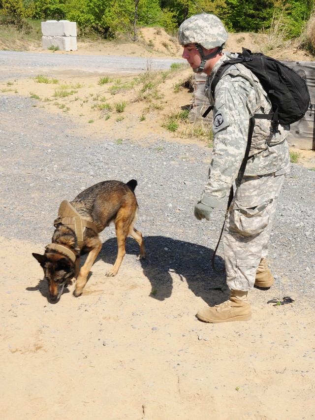 U.S. Army Forces Command's Best Military Working Dog Detachment Award winner