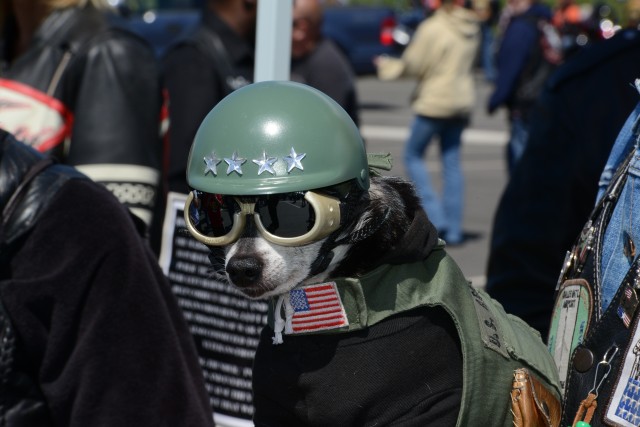 Rolling Thunder 2013