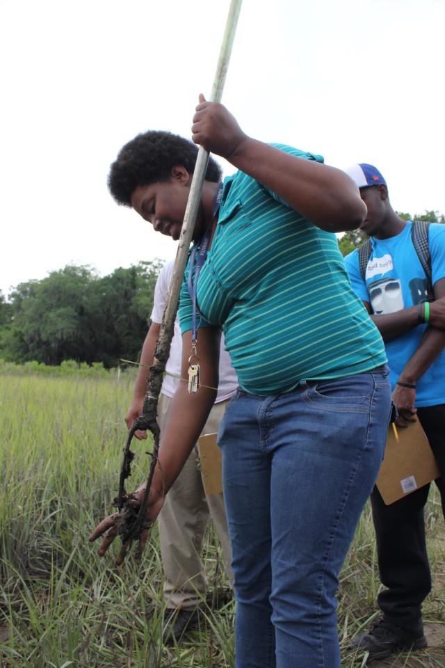 Corps hosts wetlands field exercise at Savannah State University