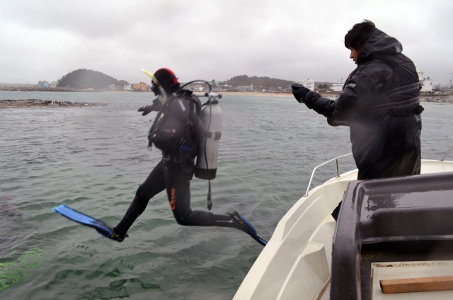 Diving into Community Service