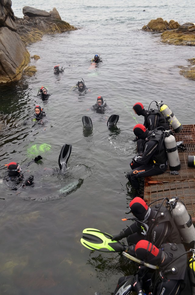 Diving into Community Service