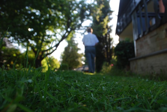 Mowing the lawn