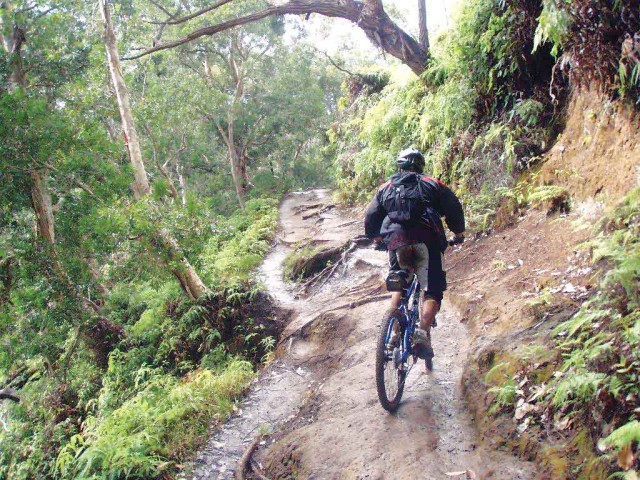 Mountain biking