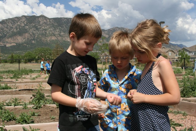 Fort Carson Families show off green thumbs