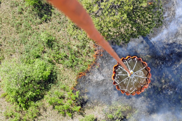 Black Forest Bambi Bucket Drops