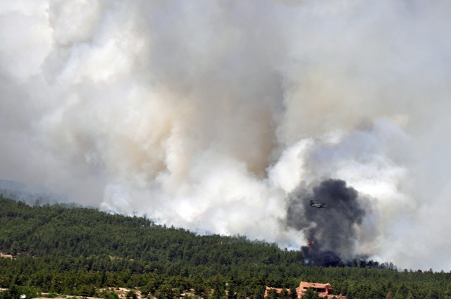 Black Forest Bambi Bucket Drops