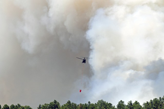 Black Forest Bambi Bucket Drops