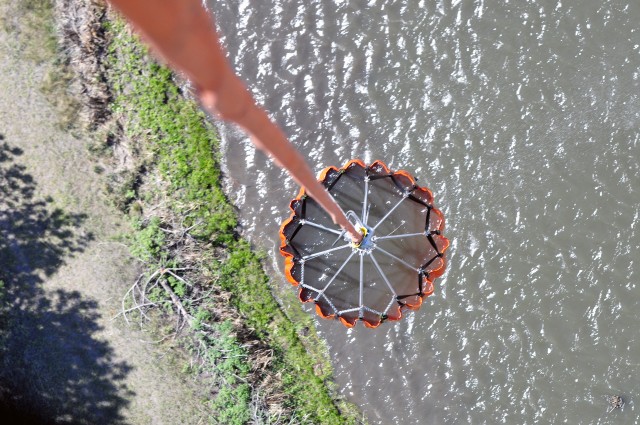 Black Forest Bambi Bucket Drops