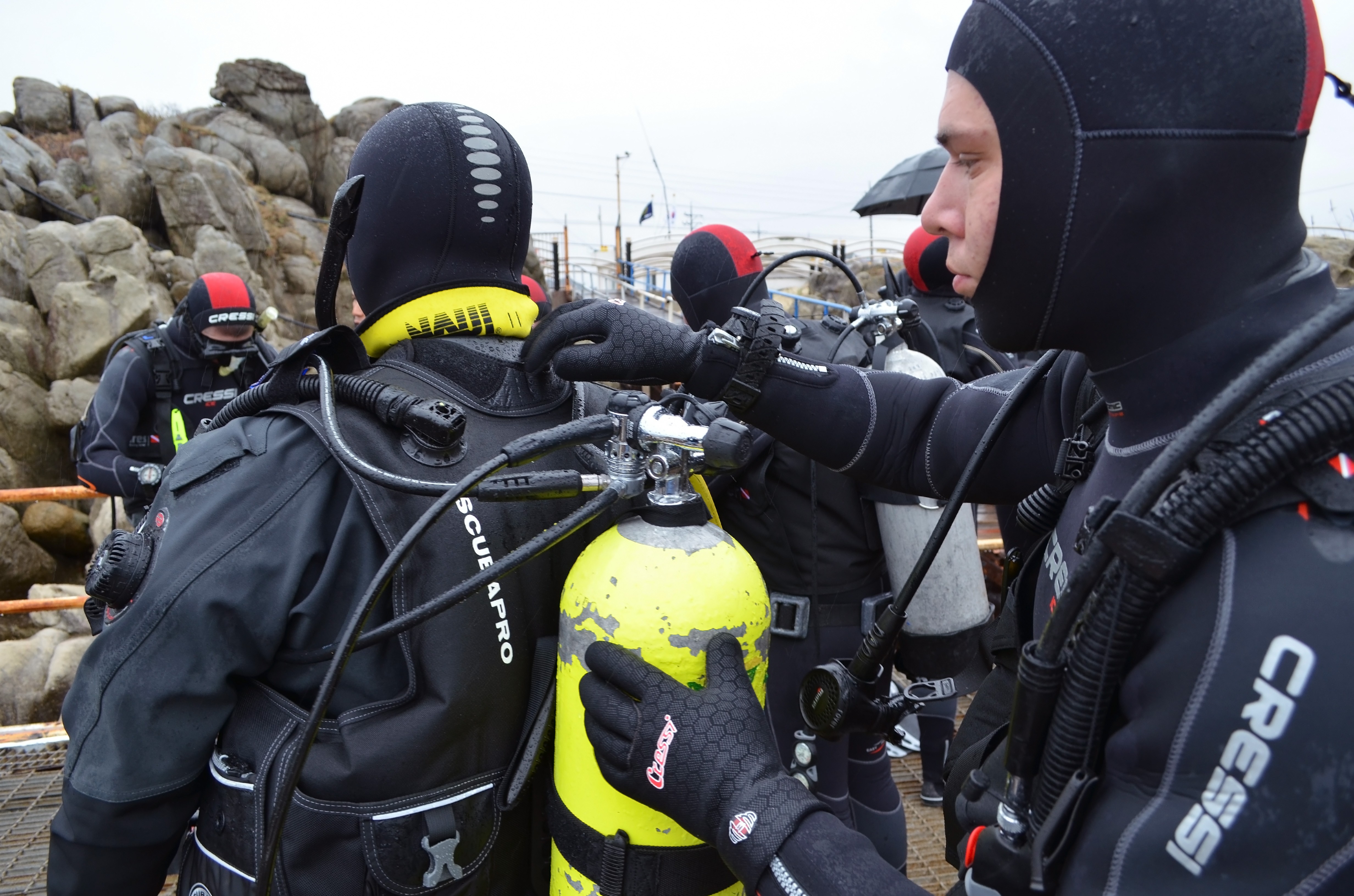 Diving leads to Community Service opportunities | Article | The United ...