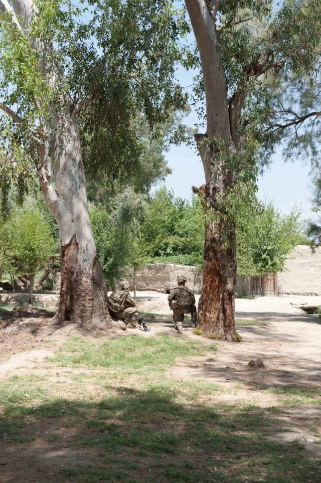 Shaheen XI: Safeguarding Afghan economy