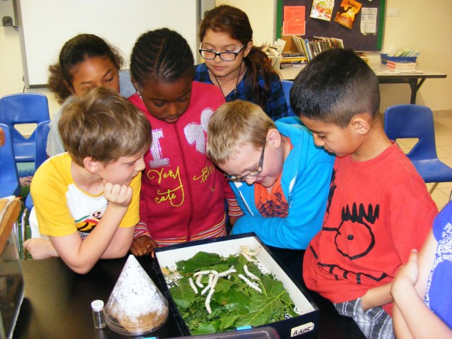 Vicenza students learn about creepy crawly things