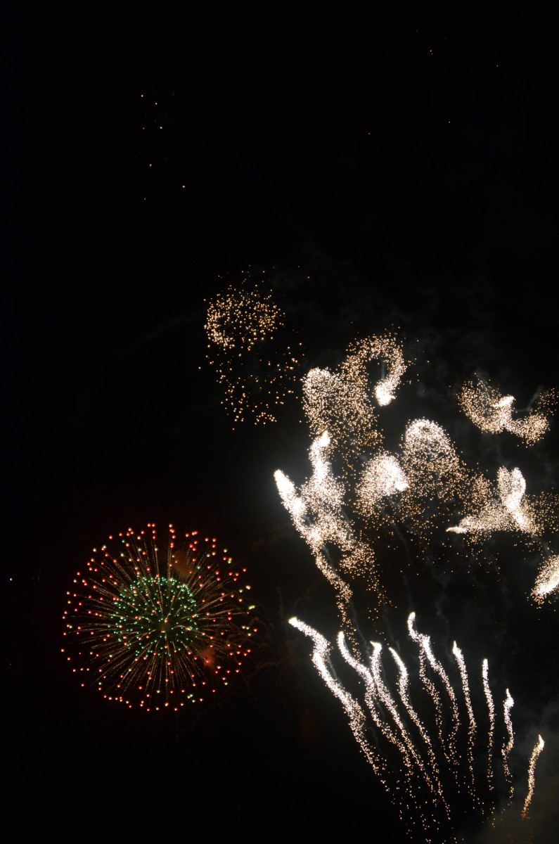 Fort Jackson celebrates America's birthday Article The United