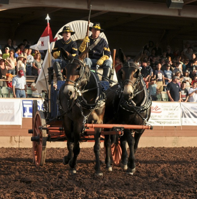 Mule team 2.