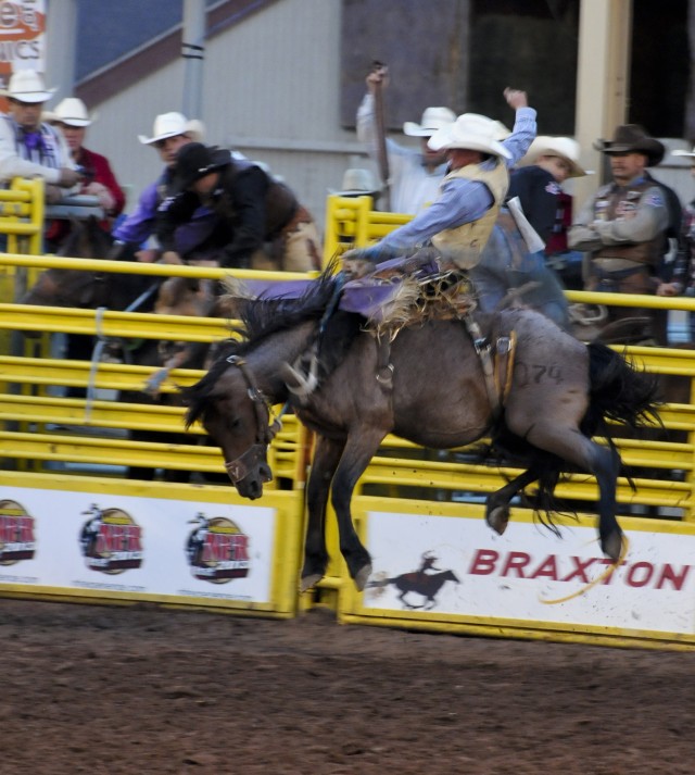 Ride'm Cowboy.