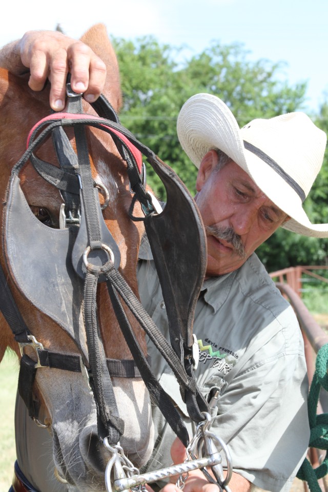 Equine therapy volunteer aids wounded warrior recovery, resilience