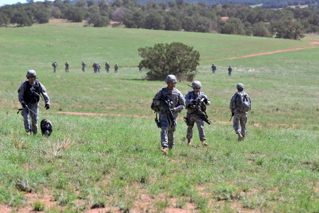 Soldiers practice downed aircraft response skills