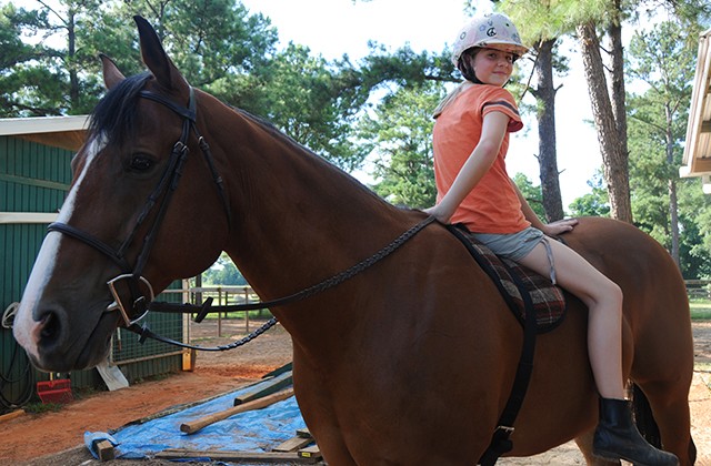 Fort Rucker Riding Stables hosts competitions, exercise, Family fun