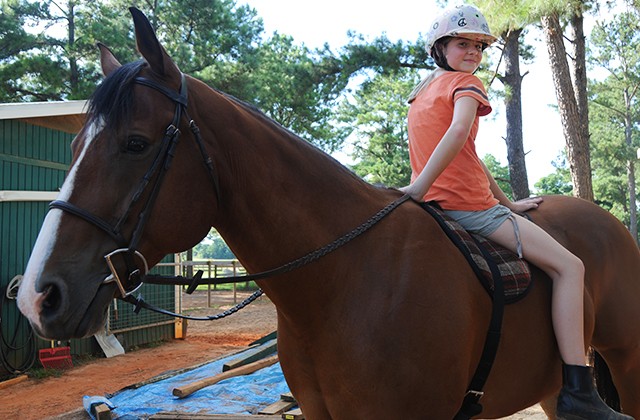 Event brings horses, Families, friends together