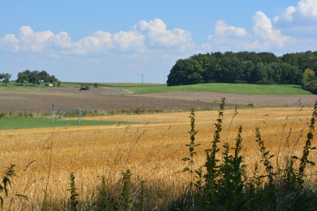 Field, farmland