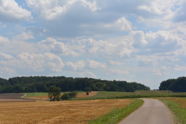 Many kilometers