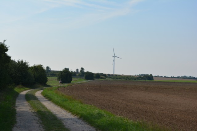 Volksmarch near Kitzingen