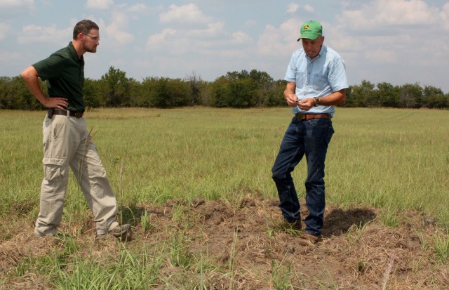 Feral Hog Damage